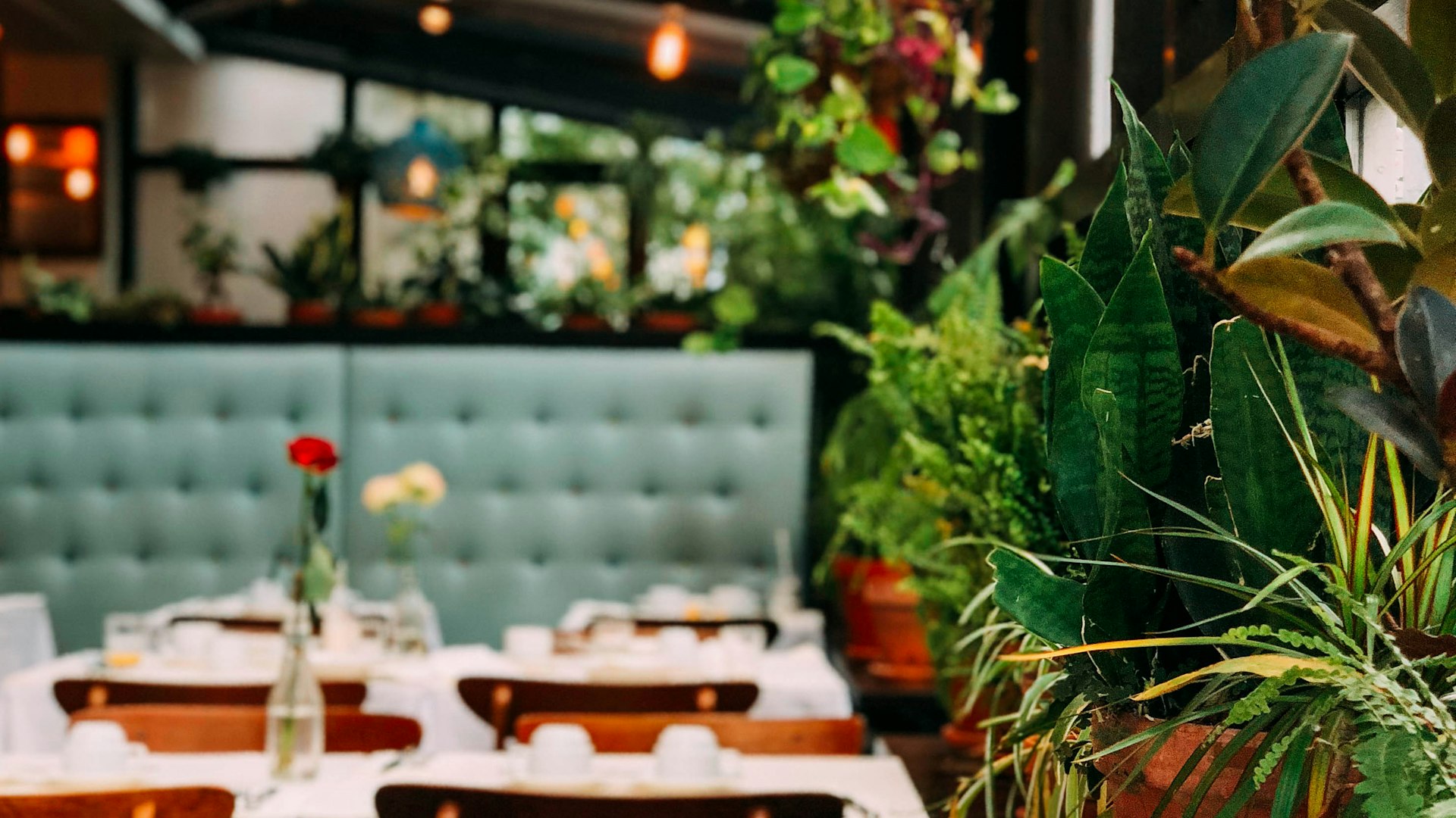 カスタマイゼーション